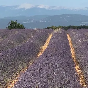 https://provence-luberon-location-gite-chez-marcelle.fr-provencehotel.com